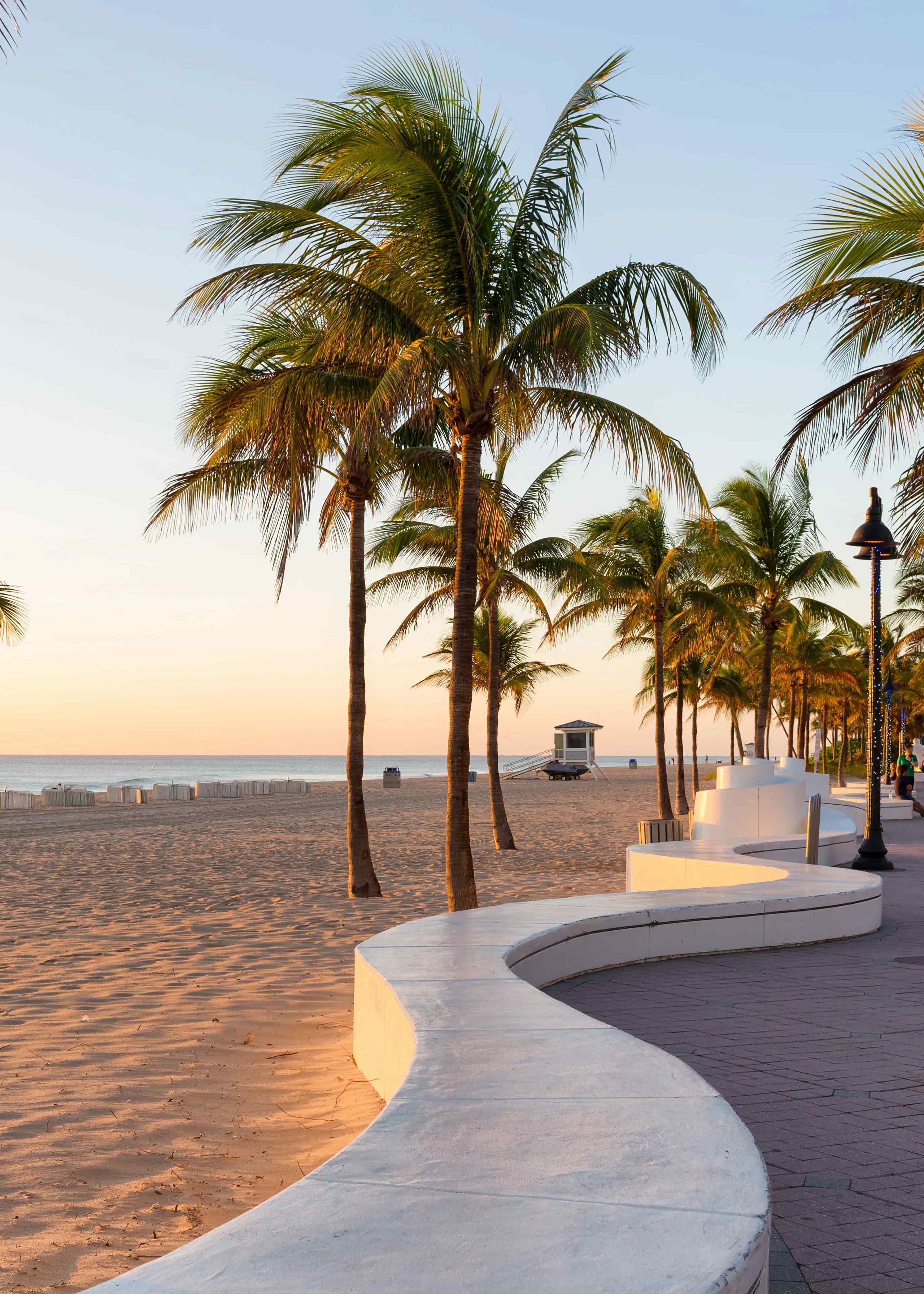 Palm trees and beach