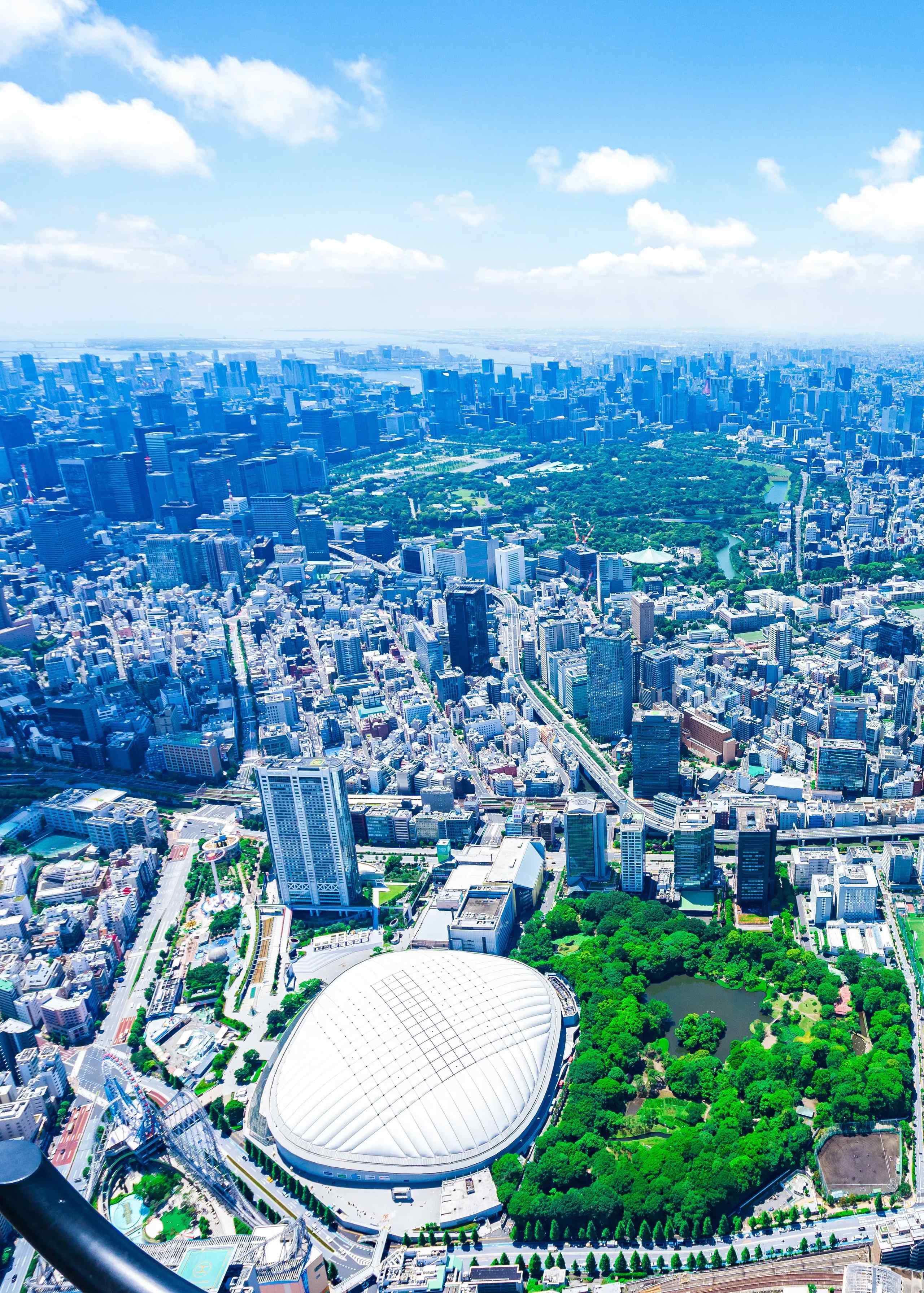 birdseye view of tokyo daytime