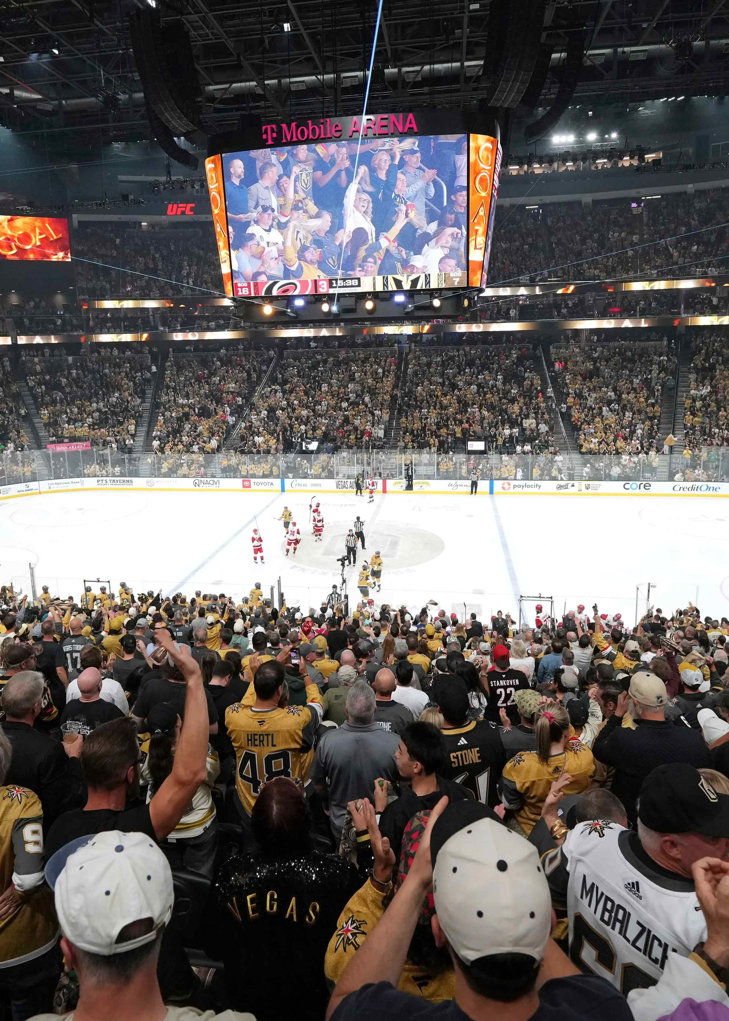 hockey fans at a game