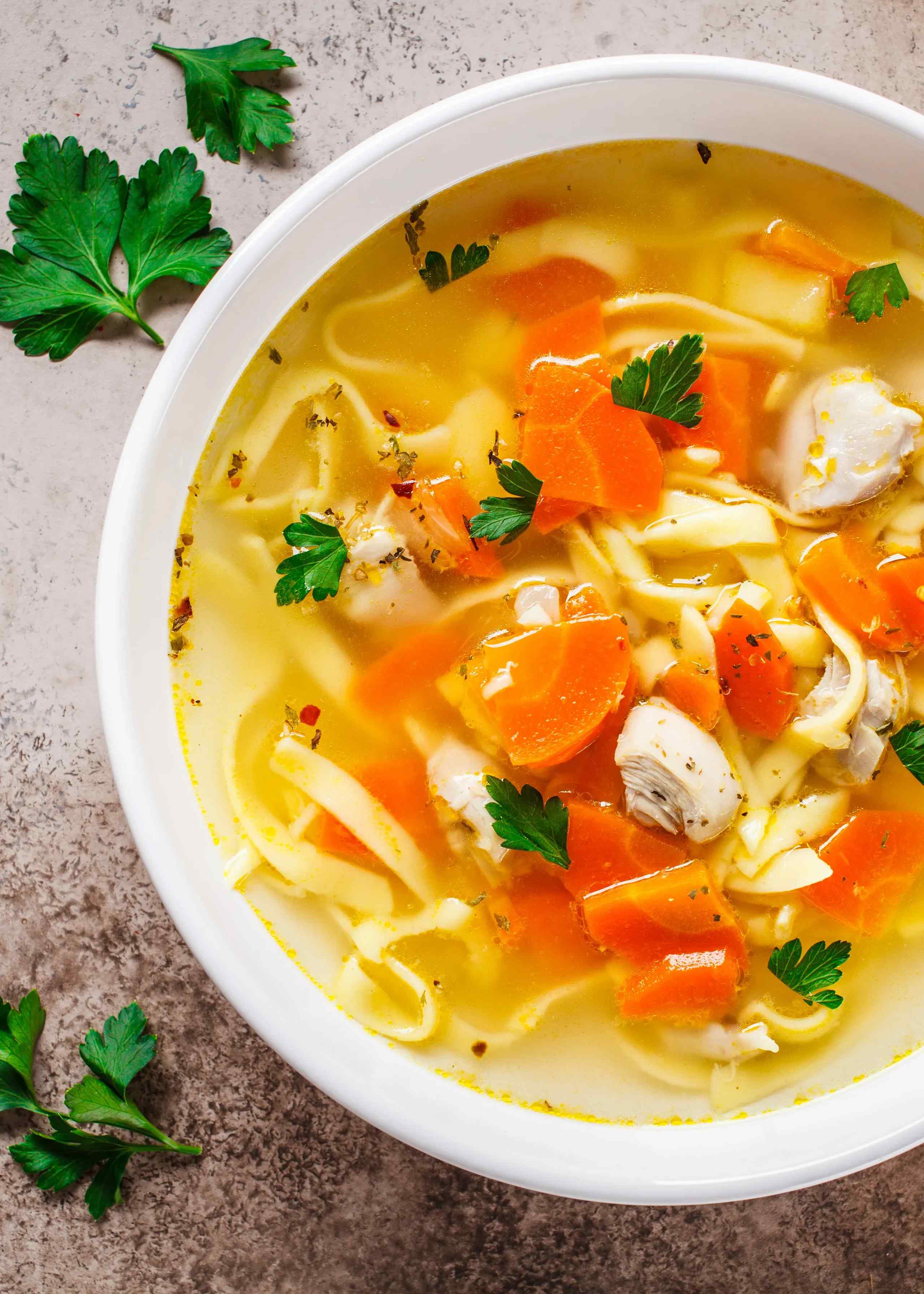chicken noodle soup