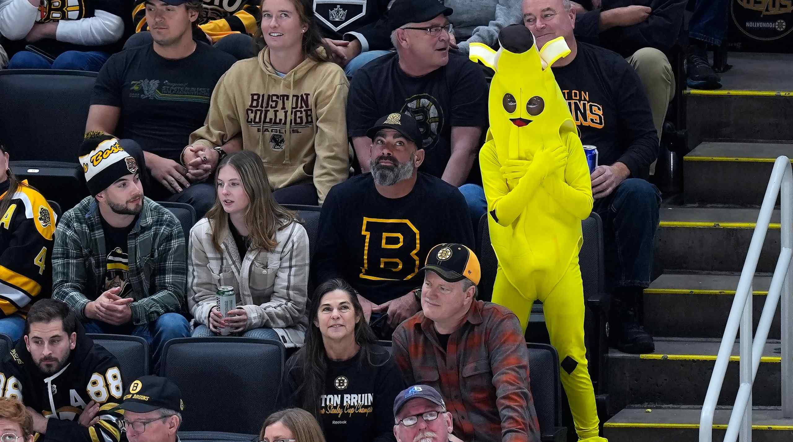 Boston Bruins fans