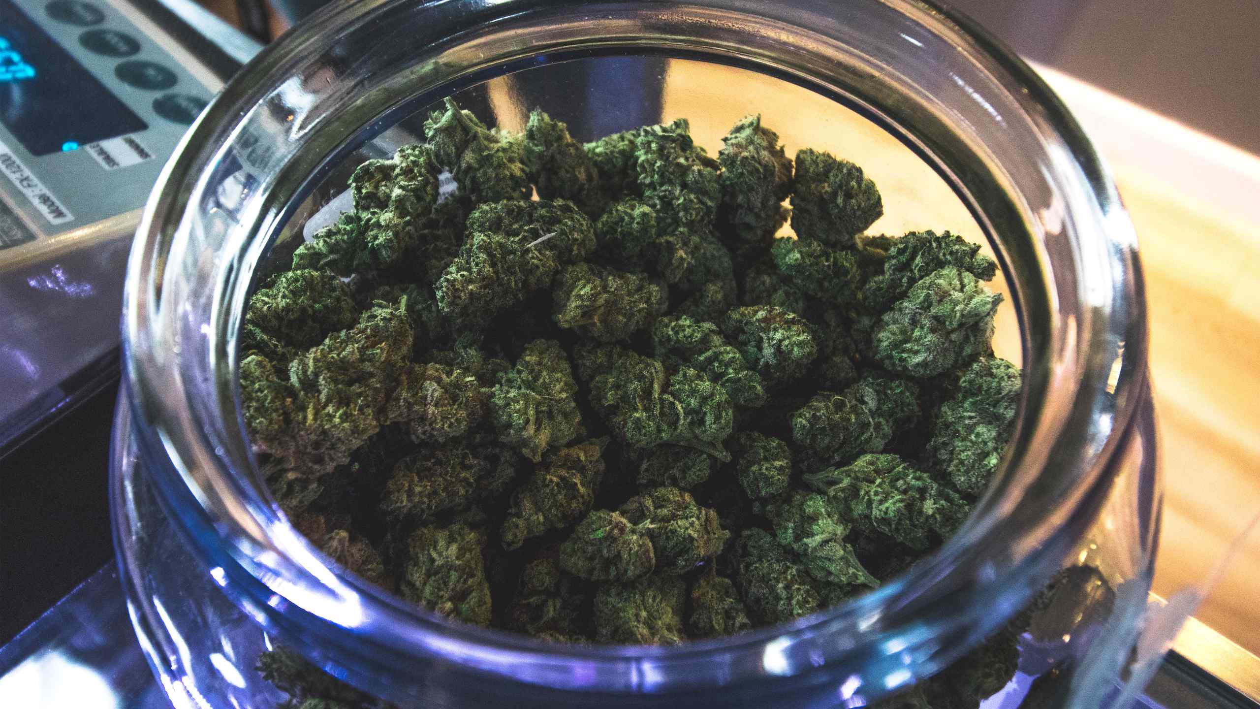 A photo of cannabis in a jar.