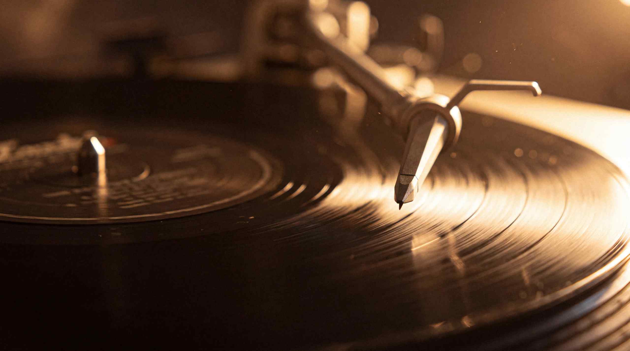 The Best Gambling Songs Ever Written, Ranked