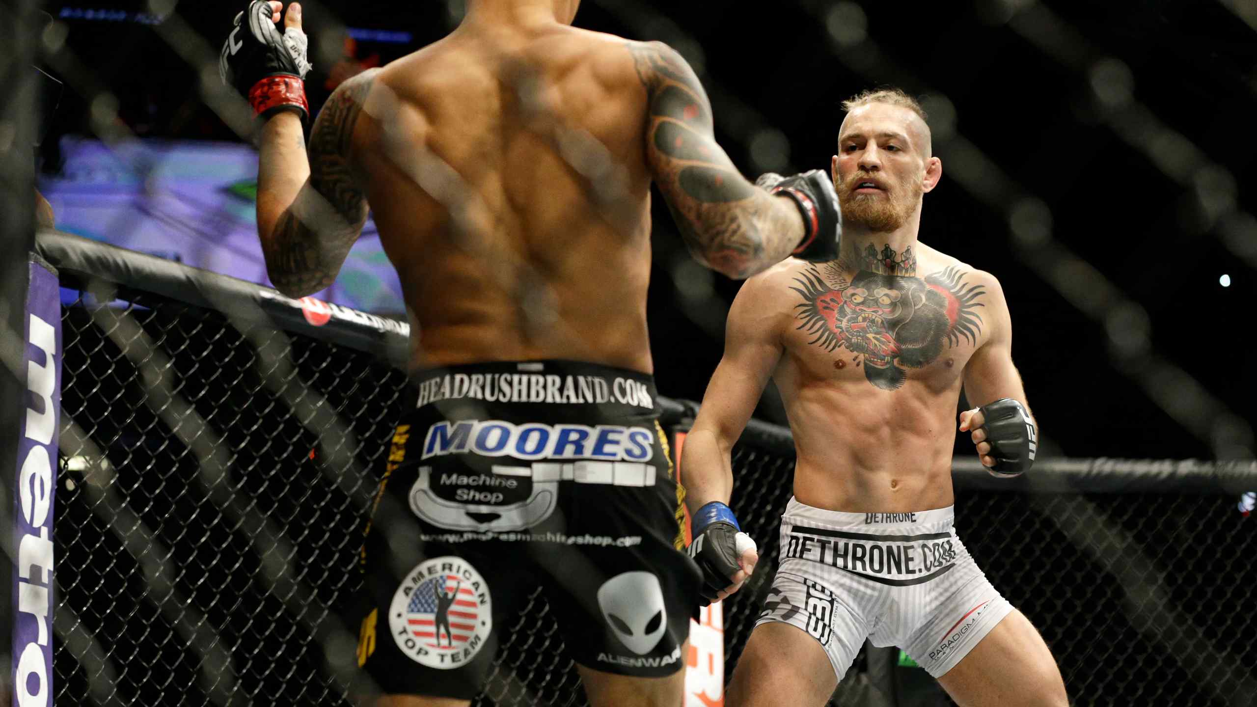 conor mcgregor in the ring