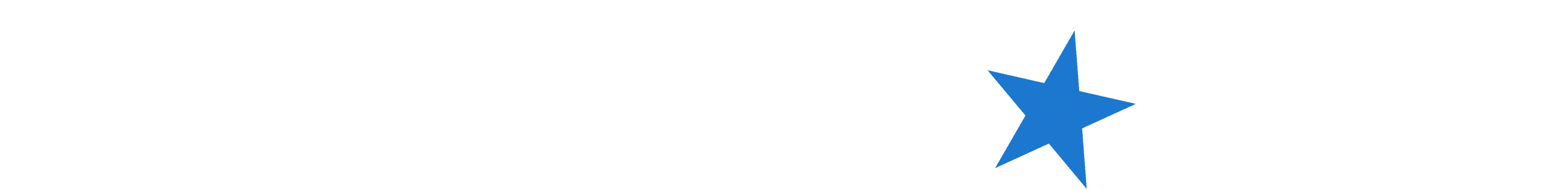 NorthStar Bets logo