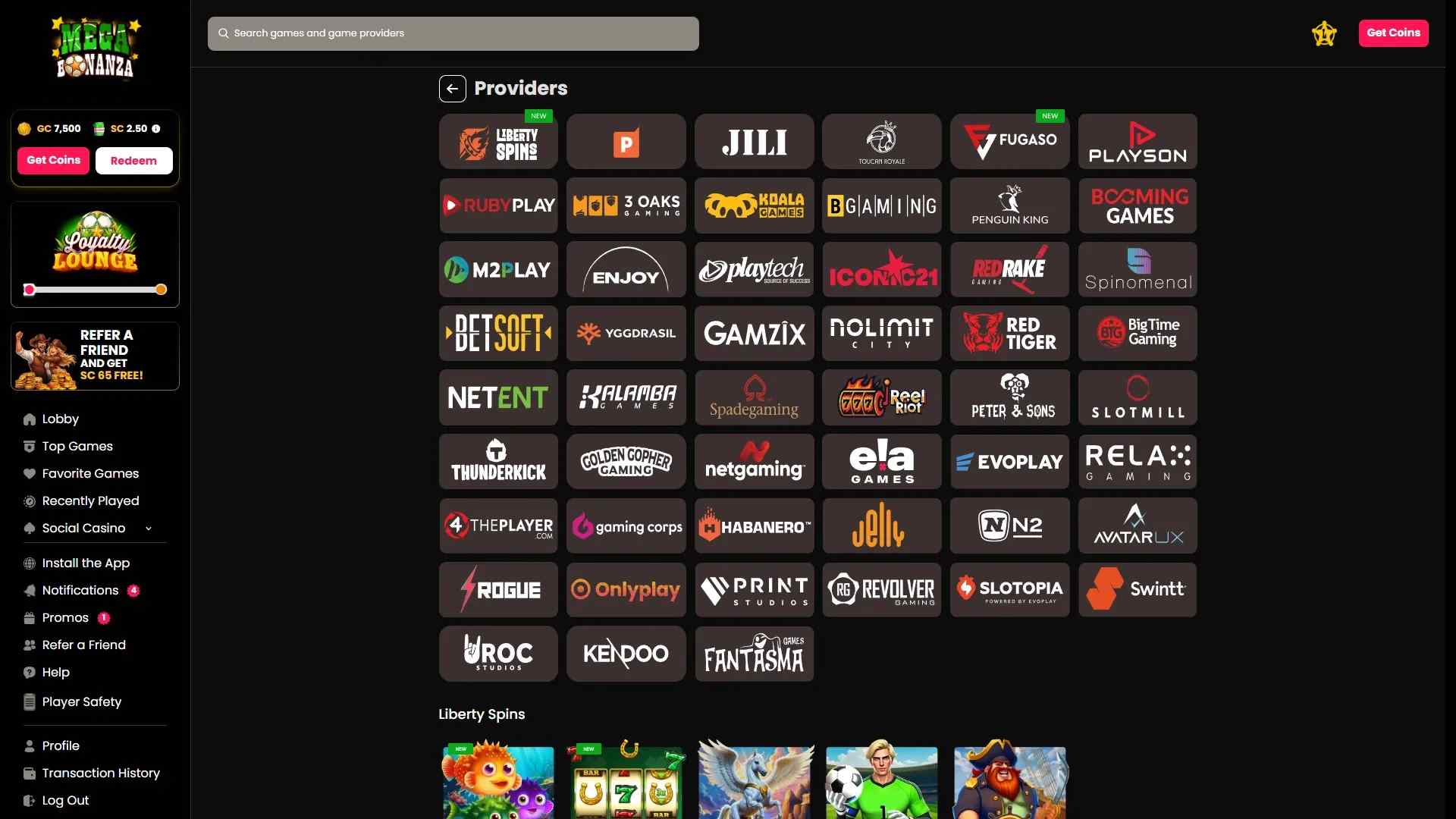 Providers