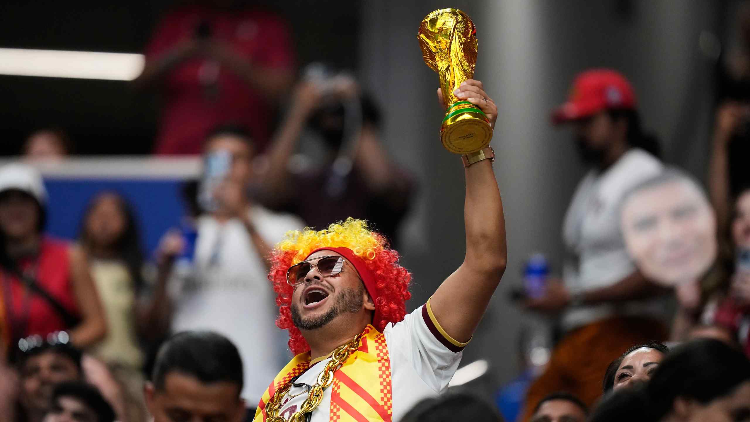 spain world cup fan