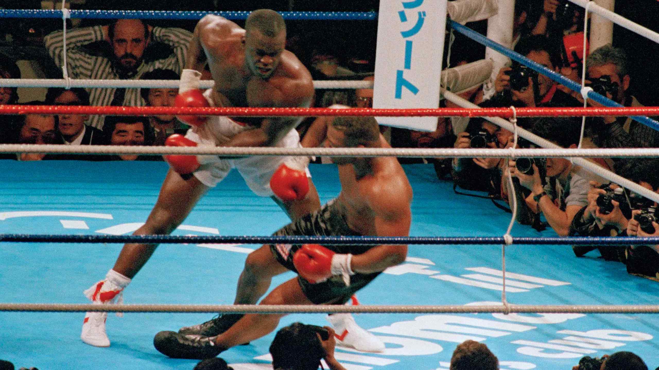 boxing knock out