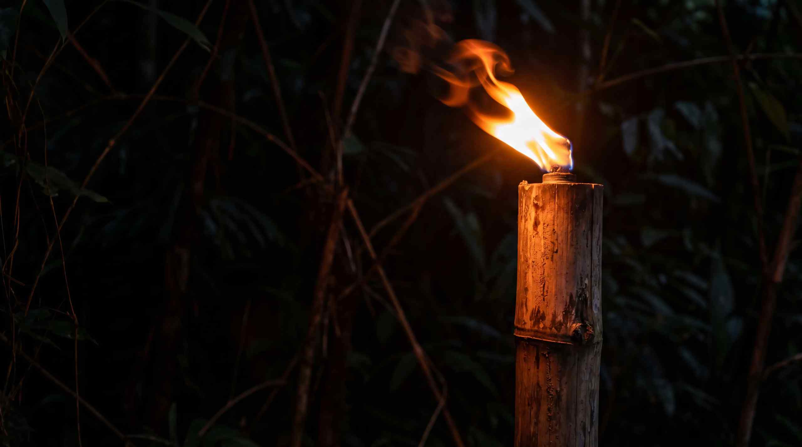 An image of a torch, which represents life on Survivor.