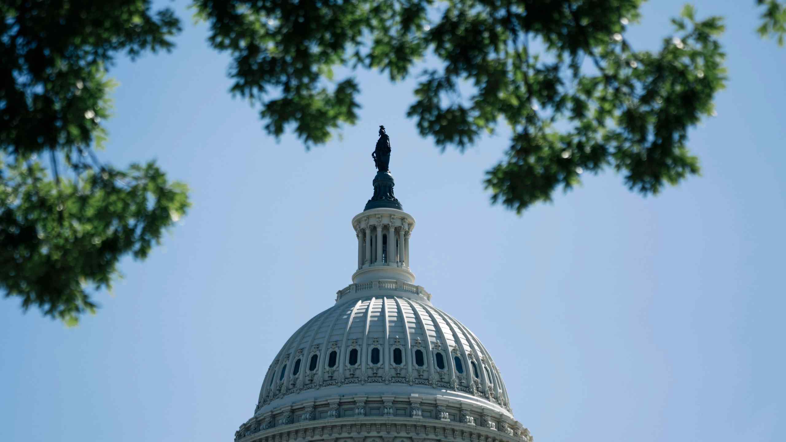 The United States Capitol Building in Washington DC.