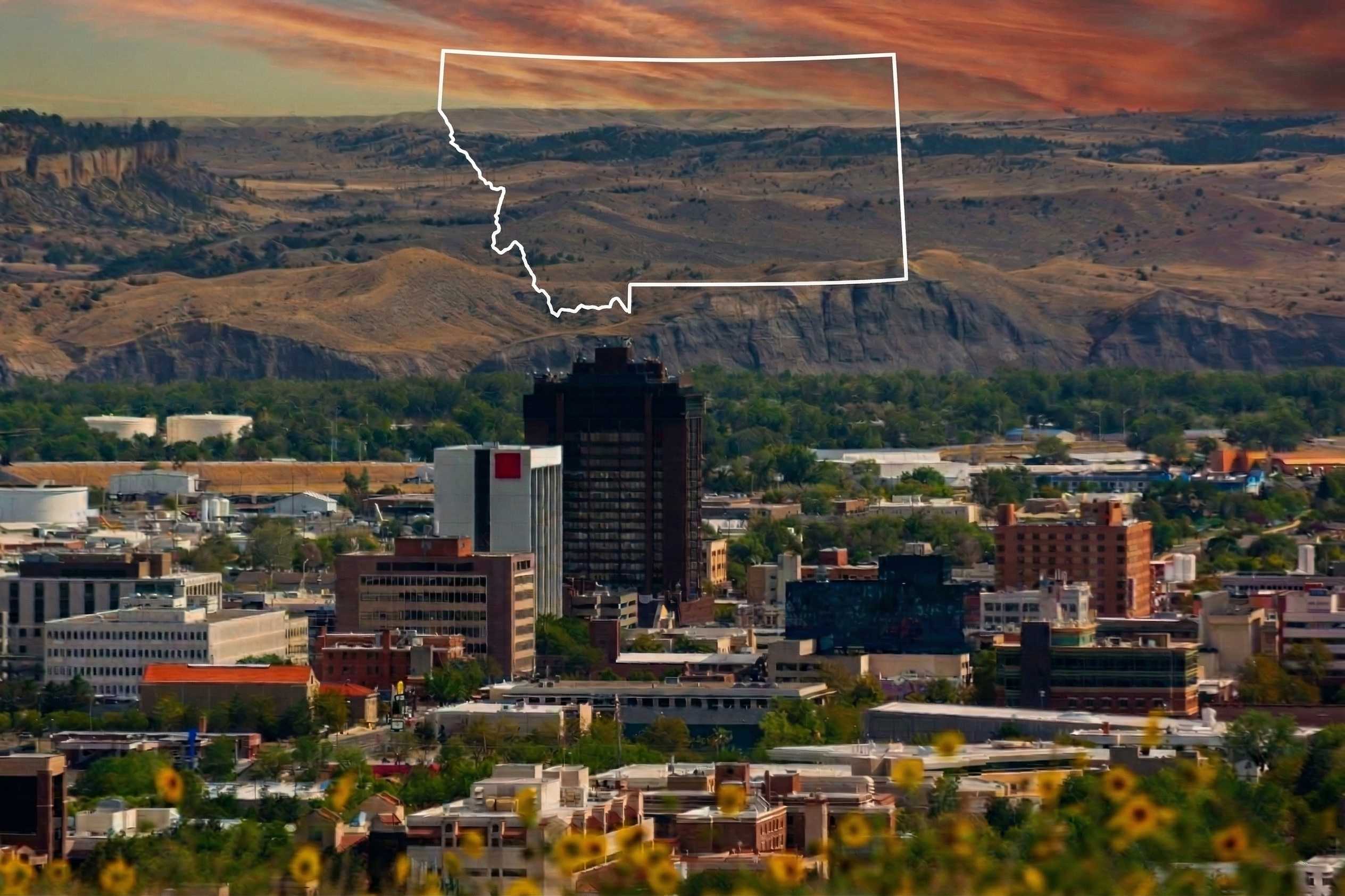 Montana Sports Betting: A Complete 2026 Guide