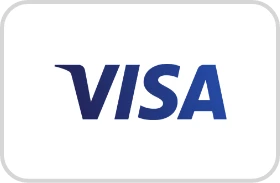 Blue and light blue Visa icon centered in a white background